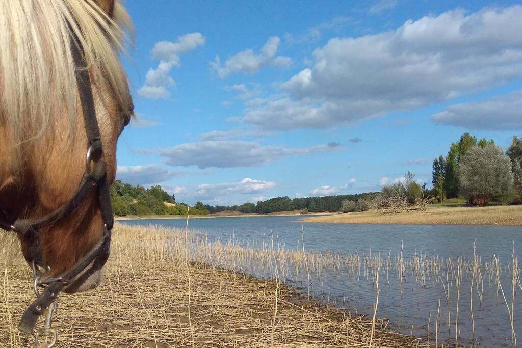 Gite En Pleine Nature Proche Du Lac De La Gimone Saint-Blancard Buitenkant foto