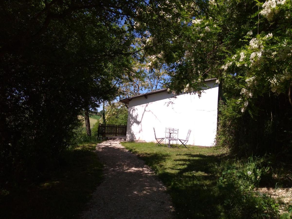 Gite En Pleine Nature Proche Du Lac De La Gimone Saint-Blancard Buitenkant foto